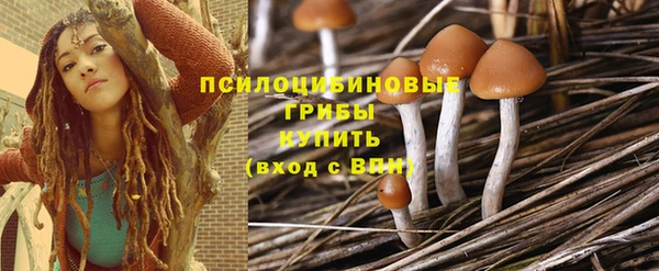 спайс Алзамай