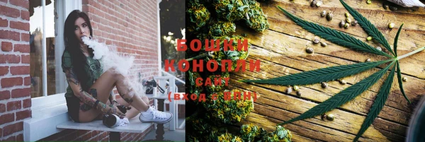 ПСИЛОЦИБИНОВЫЕ ГРИБЫ Алексеевка