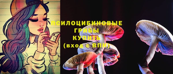синтетический гашиш Алексин