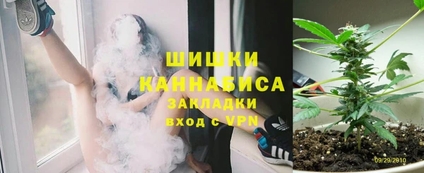спайс Алзамай