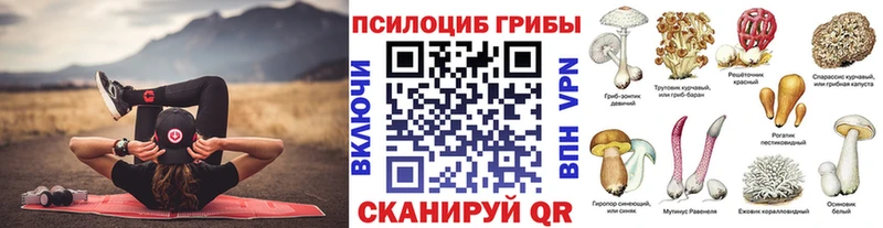 Галлюциногенные грибы GOLDEN TEACHER  KRAKEN рабочий сайт  дарк нет официальный сайт  Артёмовск 